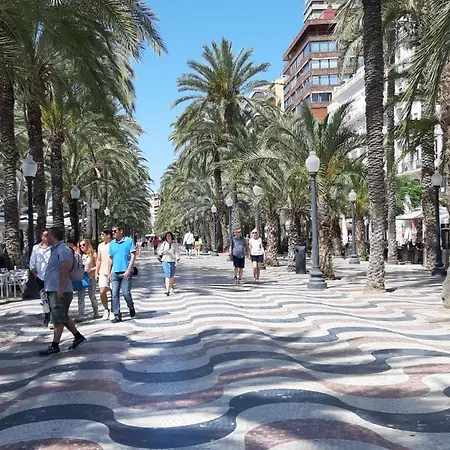 Grande - Museum Marq * Alicante